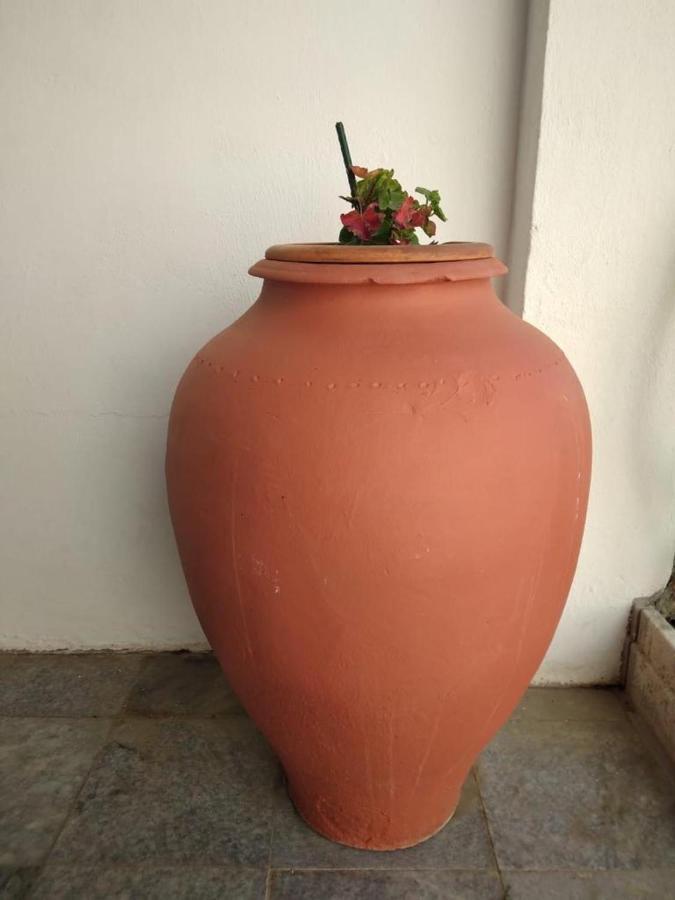 Casa Dos Avos Villa Alcaria da Serra Kültér fotó